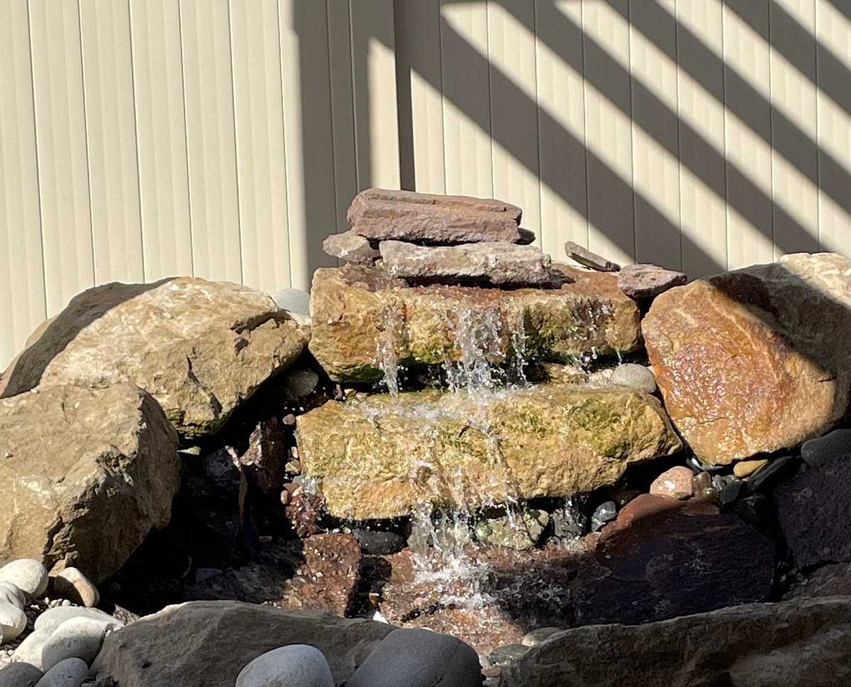 Backyard landscape project